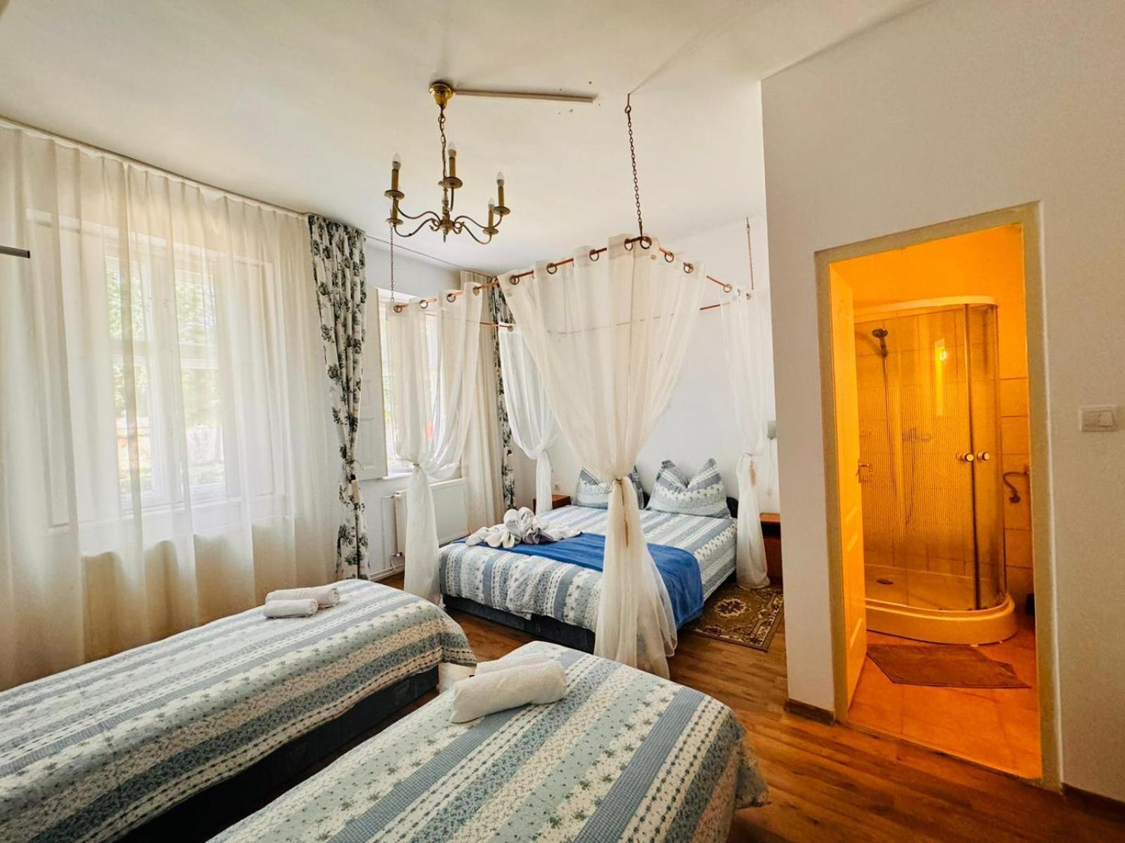 Pensiunea Schwartzy Hotel Makó Екстериор снимка